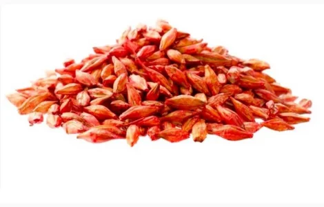 Посівний ячмінь ярий - 1 репродукція - рік врожайності 2022