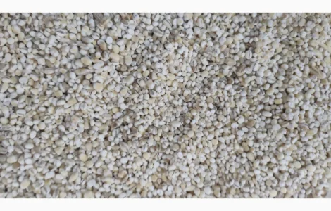 Продаємо крупу ячневу (подрібнену ячмінну)