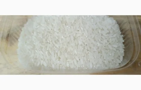 Рис длинный