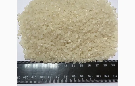 Рис для суши Камолино