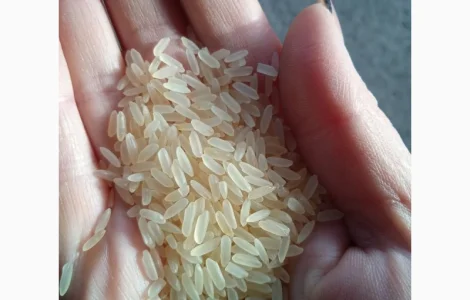 Продам рисову крупу