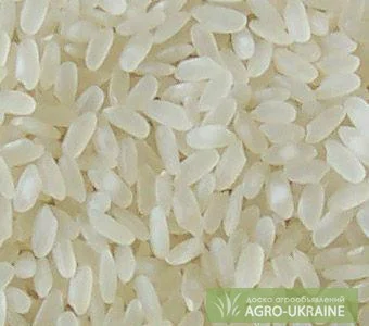 Рис Пропаренный, Долги, Круглый