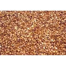 Насіння посівної гречки Гренбі