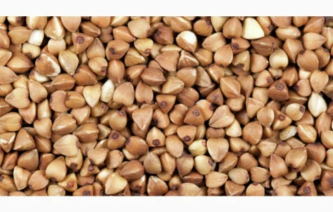 Семена гречихи сорт КРУПИНКА элита 1 репрод