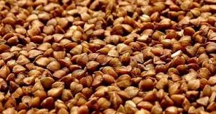 Семена гречихи сорт АРНО КАНАДА 1 репрод