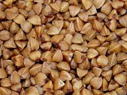 Семена гречихи сорт ГРЕНБИ КАНАДА 1 репрод