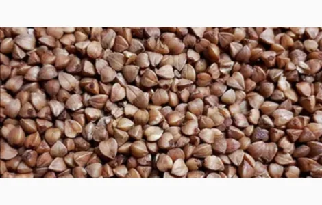 Продам крупу гречану