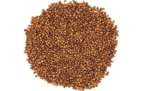 Продам гречку на экспорт от производителя с 20 тонн