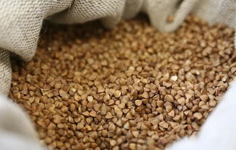 Зерно гречки нового врожаю. В наявності великі обсяги