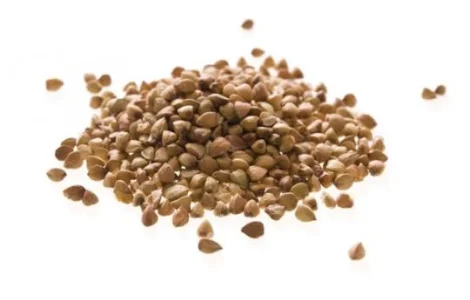 Гречка. Гречиха. Зерно гречки на продаж