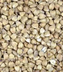 Товарна високоякісна гречка оптом. Є ПДВ