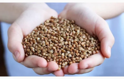 Оптовий продаж гречки (зерно гречки)