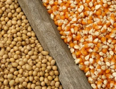 Купуємо некондицію