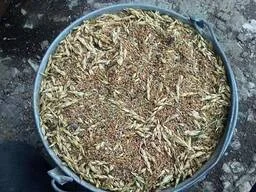 Закуповуємо некондицію