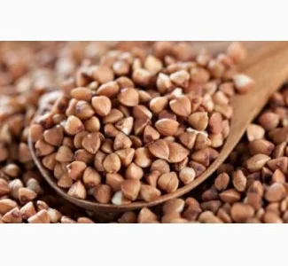 Гречиха влажная