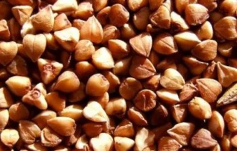 Крупозавод покупает Гречиху, Чернигов вся Черниговская обл