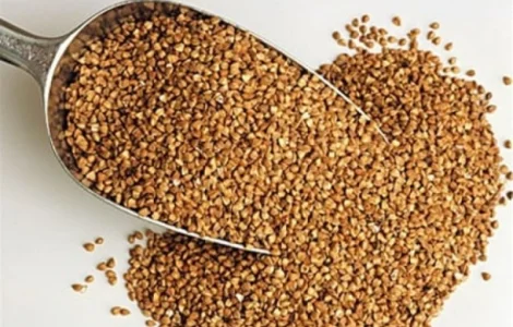 Гречка оптом