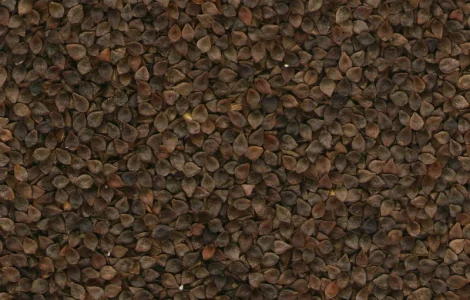 Гречка зерно