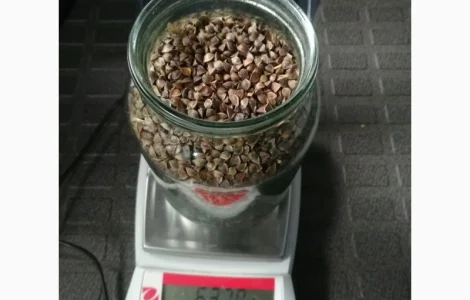 Підприємство на постійній основі закуповує зерно гречки на переробку. Самовивіз