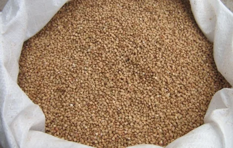 Гречка, крупа гречана в мішках 50 кг