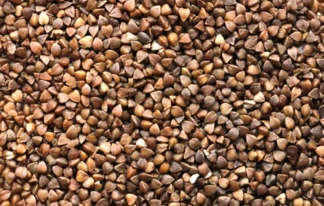 Куплю гречку