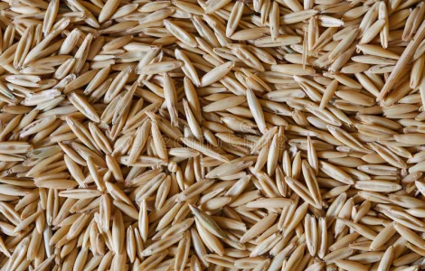 Закупляемо овес и отходи на самовивоз