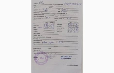 Продам Овес Нептун