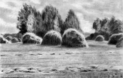 Закупаем ОВЕС на переработку. Натура от 470 Дорого. Самовывоз. Быстро