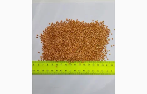 Продам просо