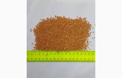 Продам просо