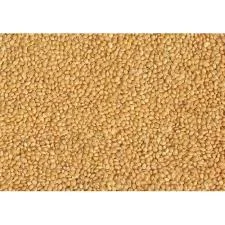 Куплю просо жовте від 5т