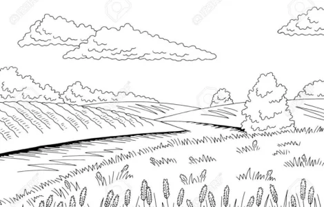 Закупаем ПРОСО желтое постоянно.Самовывоз. Быстрая оплата