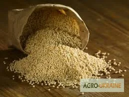 Куплю просо желтое красное самовывоз