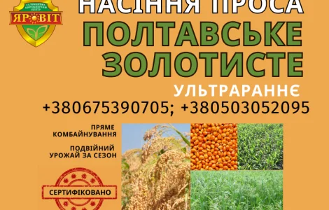 Насіння просо