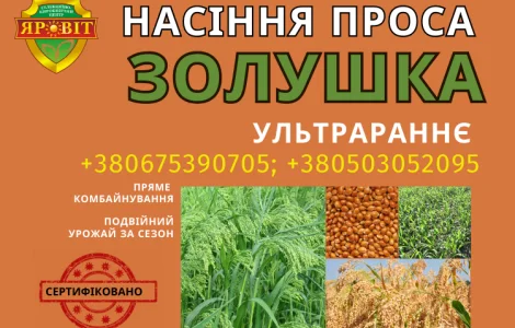 Насіння просо