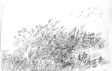 Закупаем П Р О С О постоянно. Самовывоз. Быстро. Круглый год