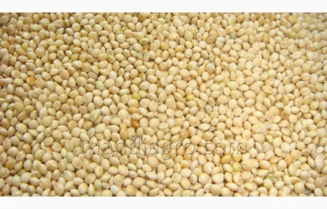 Купимо просо біле