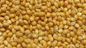 Продаємо насіння проса жовтого "Біла Альтанка"