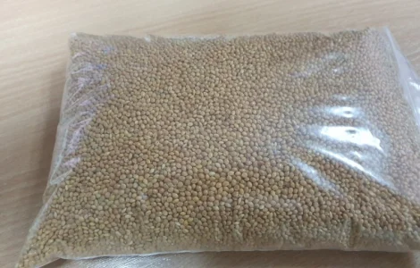 Просо посівне "Біла Альтанка" 1р