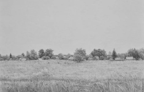 Закупаем ПРОСО ЖЕЛТОЕ на переработку.Самовывоз.Быстро