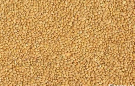 Куплю жовте просо