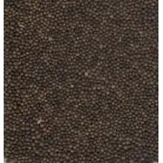 Семена вики яровой ГИБРИДНАЯ 85 элита 1 репрод