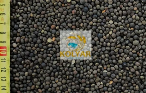 Закуповуємо вику