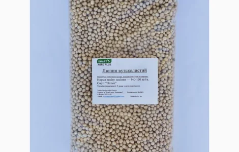 Люпин вузьколистий – посівний матеріал