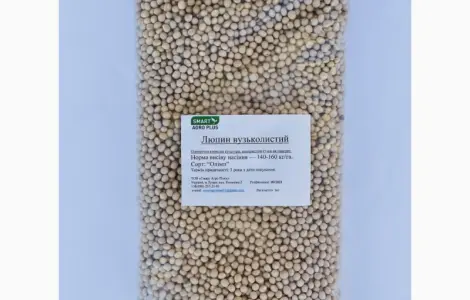 Haciння Люпина вузьколистого