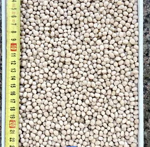 Куплю люпин