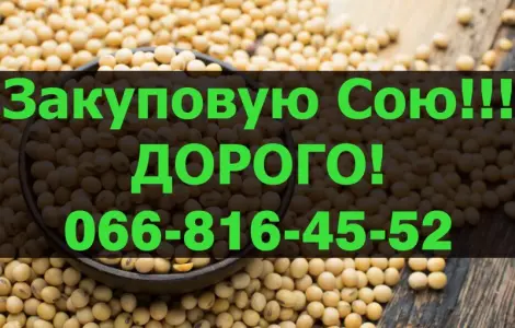 Предприятие переработчик