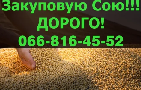 Куплю на постійній основі СОЮ!Під контракт