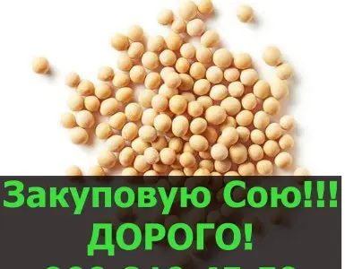 Куплю СОЮ в любом количестве