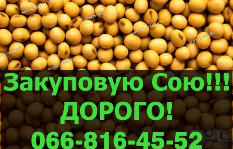 Закупаем СОЮ по высоким ценам!Максимальные цены